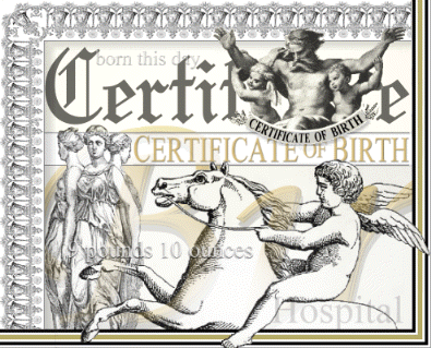 how to get a birth certificate fake birth certificate