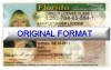 Florida Fakeids and Fake Drivers License