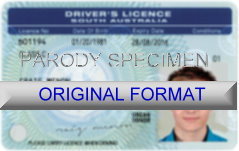 Tasmania Fake ID