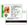 pet id, novelty identity, new identity pet design card, personal id for pets lost and found id
